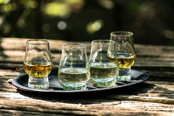 Tasting of different Scotch whiskies on outdoor terrace, dram of whiskey close up
