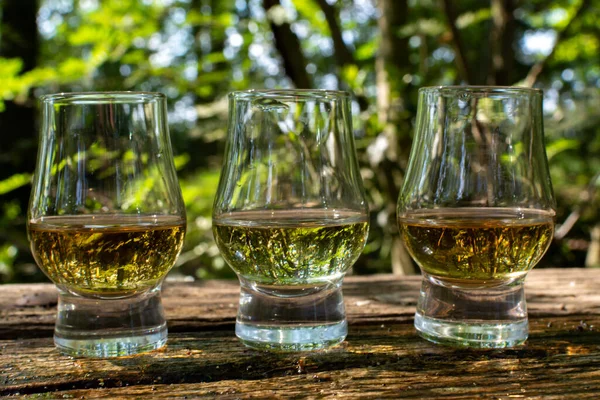 Degustación Diferentes Whiskies Escoceses Terraza Aire Libre Dram Whisky Cerca — Foto de Stock