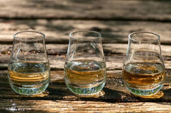 Verkostung Verschiedener Schottischer Whiskys Auf Der Außenterrasse Dram Whisky Close — Stockfoto