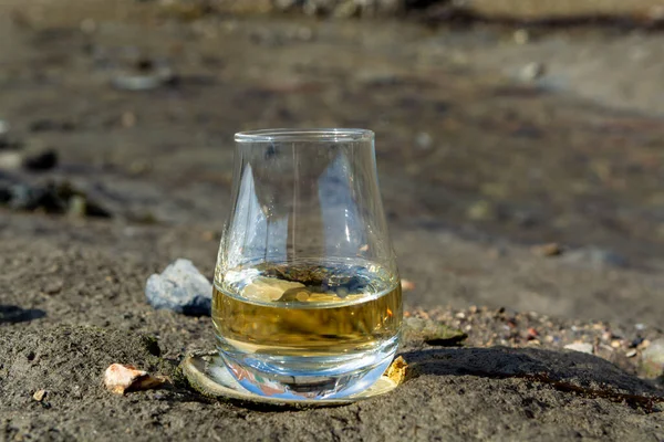 Tasting glass of Scotch whisky and sea shore background during low tide, smoky whisky pairing with oysters