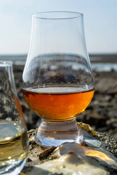 Tasting glass of Scotch whisky and sea shore background during low tide, smoky whisky pairing with oysters