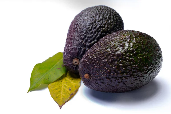 Gesundes Essen Frische Reife Haß Avocadofrucht Aus Peru Isoliert Auf — Stockfoto