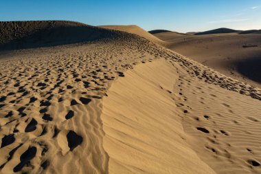 Maspalomların sarı kumlu kumulları ve mavi Atlantik Okyanusu, Büyük Kanarya, Kanarya Adaları, İspanya