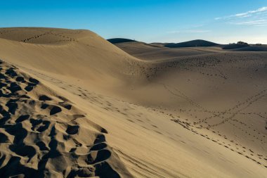 Maspalomların sarı kumlu kumulları ve mavi Atlantik Okyanusu, Büyük Kanarya, Kanarya Adaları, İspanya