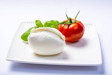 Yumuşak beyaz İtalyan peyniri Mozzarella bufalosu taze domates ve yeşil fesleğen yapraklarıyla servis edilir.