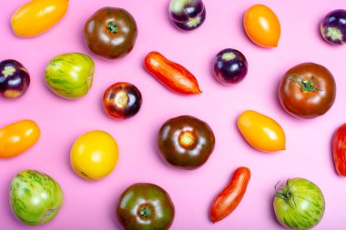 Düz manzaralı yiyecek arka planında çok renkli Fransız taze domatesleri modayı takip eden pembe masa üzerinde yatıyordu.