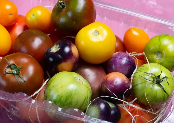 Multicolored Assortment French Fresh Ripe Tomatoes Close — Stock Photo, Image