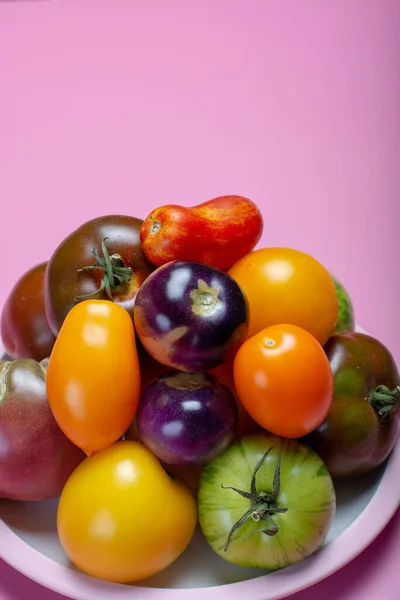 Multicolored Assortment French Fresh Ripe Tomatoes Close — Stock Photo, Image