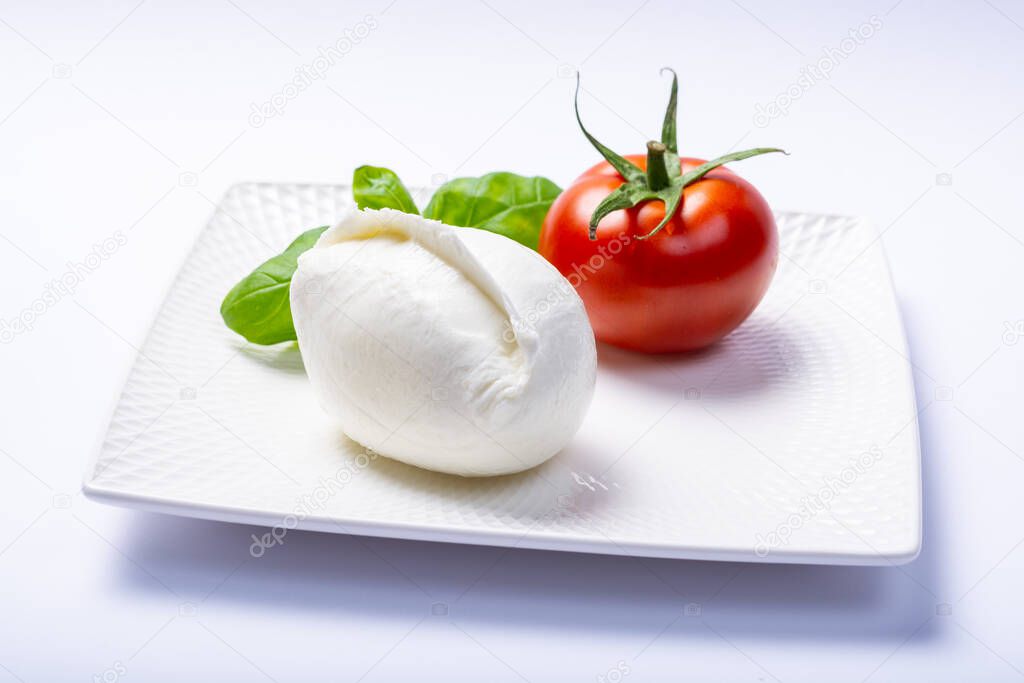 Soft white Italian cheese Mozzarella buffalo served with fresh tomato and green basil leaves on white background