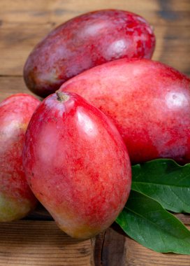 Hindistan, Pakistan ve Filipinler 'in ulusal meyveleri tropikal organik kırmızı mango yemeye hazır.