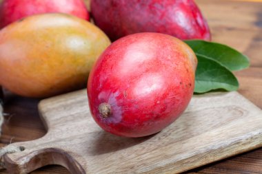 Hindistan, Pakistan ve Filipinler 'in ulusal meyveleri tropikal organik kırmızı mango yemeye hazır.