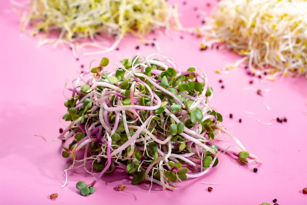 Gezonde Voeding Vegetarische Ingrediënt Voor Salades Jonge Spruiten Van Prei — Stockfoto