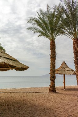 Eilat 'taki Kızıl Deniz' de güzel halk kumlu plajlar. Şemsiyeli, İsrail 'deki lüks tatil merkezleri.