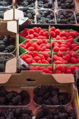 Taze taze böğürtlen ve ahududu sokak pazarında eko kağıt kutularda, yiyecek arka planında.