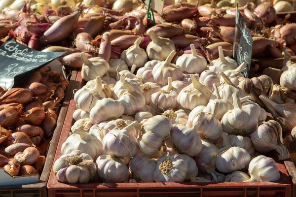 New Harvest Fresh Garlic Sale Local Market Provence France Close — Stock Photo, Image