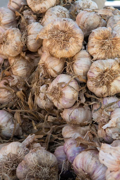 法国普罗旺斯新收获的大蒜将在当地市场上出售 — 图库照片