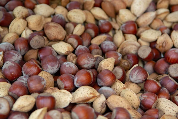 Fondo Alimentare Con Nuovo Raccolto Noci Mandorle Nocciole Guscio Primo — Foto Stock