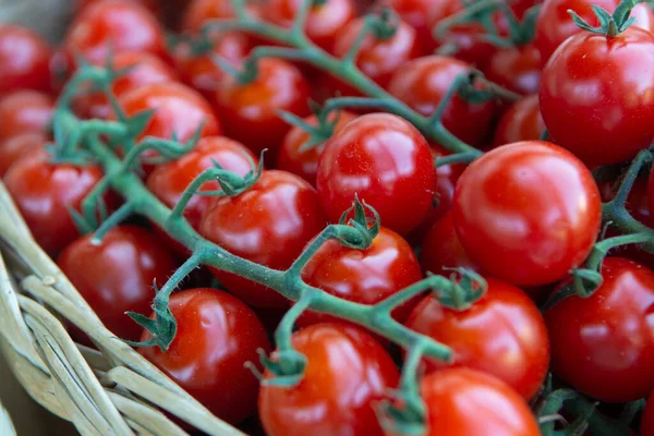 Produtos Hortícolas Sul França Agricultores Tomates Maduros Biológicos Sortimento Mercado — Fotografia de Stock
