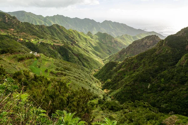 Green Mountains Slopes Anaga National Park Tenerife Canary Islands Spain — Stock Photo, Image