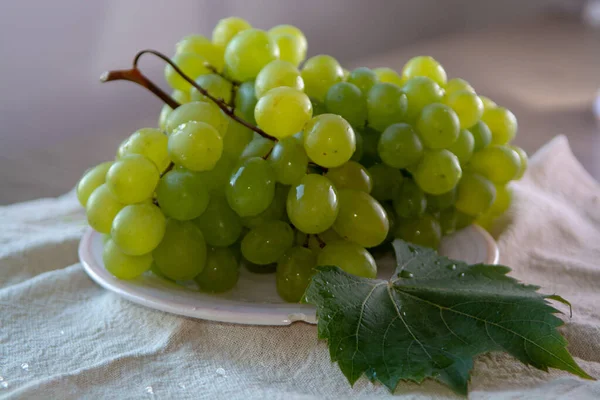 Ripe Organic Vine White Table Seadless Grape Italy New Harvest Stock Photo