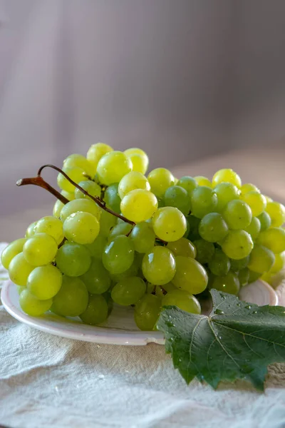 Ripe Organic Vine White Table Seadless Grape Italy New Harvest Stock Picture