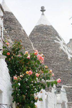 Eşsiz küçük Güney İtalya şehri Alberobello antika taşlarla koni evleri trullo, turizm merkezi, Bari yakınlarındaki Apulia bölgesi.