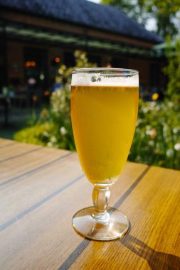 Bir soğuk ışık filtresiz cam içinde bira bahçedeki güneşli terasta servis edilir.