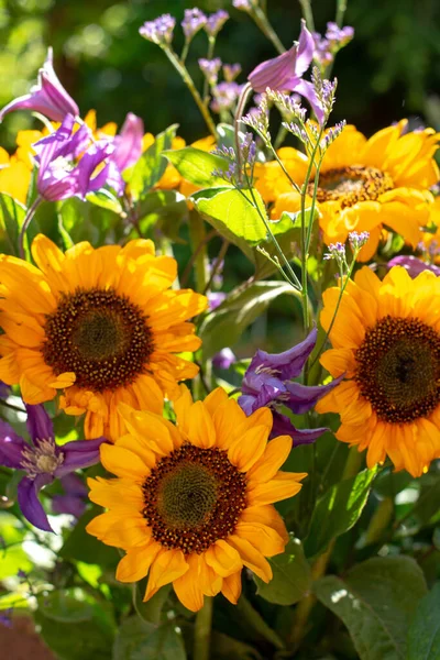 Bunter Strauß Mit Sommerblumen Und Gelben Sonnenblumen Grünen Sonnigen Garten — Stockfoto