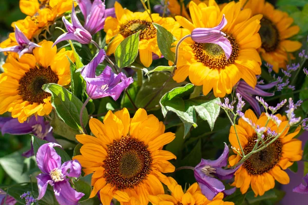 Bunter Strauß Mit Sommerblumen Und Gelben Sonnenblumen Grünen Sonnigen Garten — Stockfoto