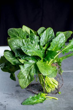 Taze yeşil vahşi ıspanak yaprakları, sağlıklı detoks yiyecekler.