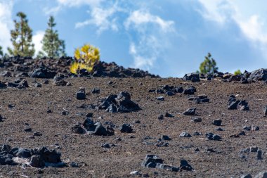 İspanya 'nın Teide Dağı, Tenetife Dağı, Kanarya Adası, İspanya' nın en yüksek dağlarındaki yeşil Kanarya çam ormanları ve volkanik lav tarlalarıyla manzara