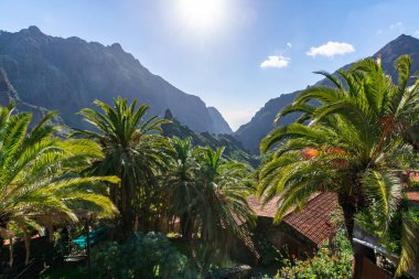 İspanya 'daki Masca, Tenerife, Kanarya Adaları, İspanya' daki Resimli köy