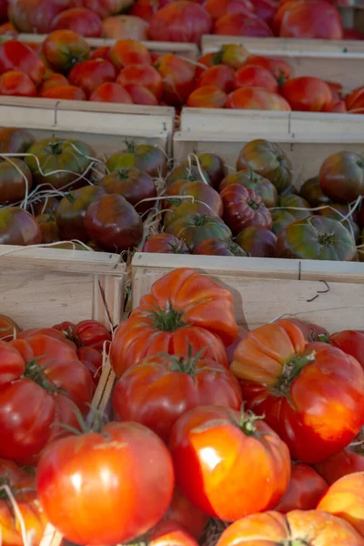 Produtos Hortícolas Sul França Agricultores Tomates Maduros Biológicos Sortimento Mercado — Fotografia de Stock