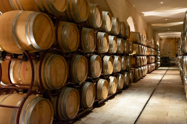 イタリアの近代的なバイオワイン製造工場 ワインブドウの発酵に使用されるXinox鋼タンク — ストック写真