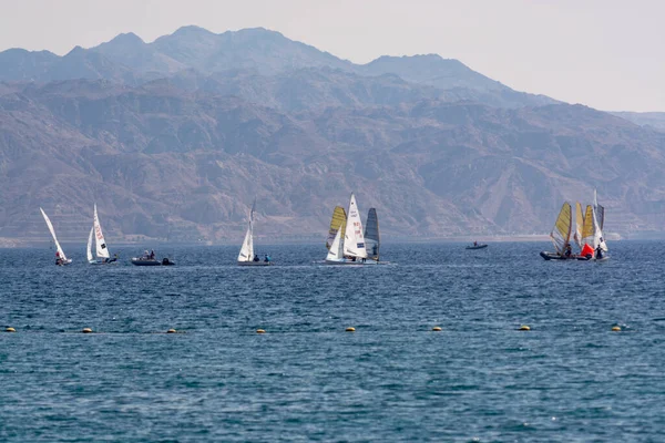 Group Windsurfers Red Sea Eilat Israel Water Sport Recreation — Stock Photo, Image