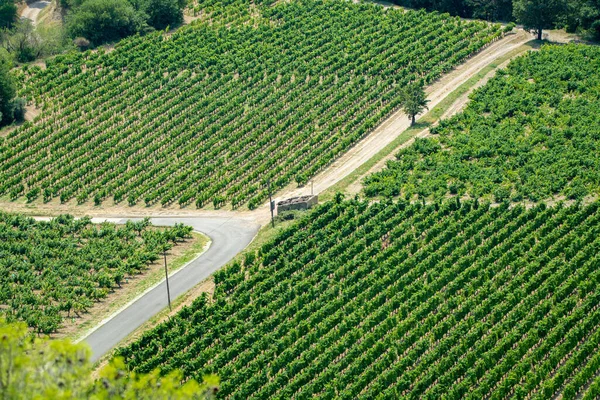 フランス ヴォークルス ギゴンダスのドメーヌまたはシャトーのブドウ畑で赤またはバラのワインブドウ畑を眺めますモンミレールの風景 — ストック写真