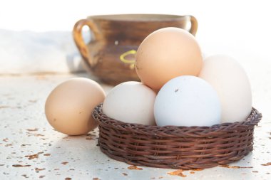 Bedava biyoloji çiftliğinden taze organik tavuk yumurtası