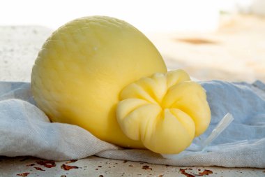 Taze Güney İtalyan geleneksel ineği ya da ineği ve koyunu yarı yumuşak peyniri Caciocavallo yemeye hazır.