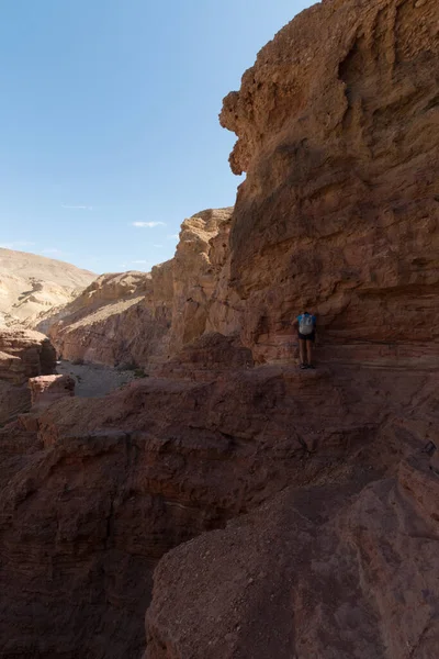 Prachtige Geologische Formatie Woestijn Kleurrijke Zandsteen Canyon Wandelroute Red Canyon — Stockfoto