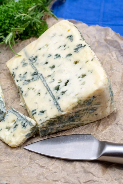 Modrý Sýr Kravského Mléka Plísní Penicillinum Chutný Měkký Sýr Specifickou — Stock fotografie