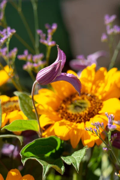 Bunter Strauß Mit Sommerblumen Und Gelben Sonnenblumen Grünen Sonnigen Garten — Stockfoto