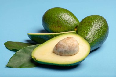 Taze organik olgun yeşil bir bütün ve yapraklarla dilimlenmiş Fuerte avokadosu, kopyalama alanı izole edilmiş modaya uygun mavi arka plan.