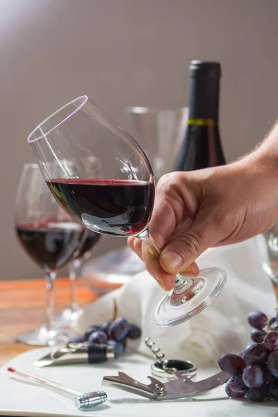 Yüksek Kaliteli Şarap Kadehleri Şarap Aksesuarlarıyla Profesyonel Şarap Tatma Etkinliği — Stok fotoğraf