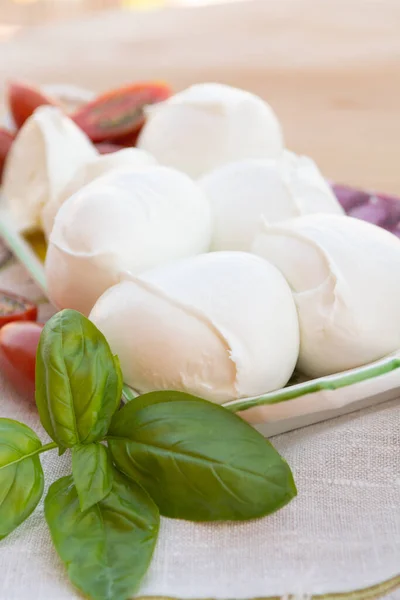 Fresh Soft Italian White Cheese Mozzarella Buffalo Original Campania Paestrum — Stock Photo, Image