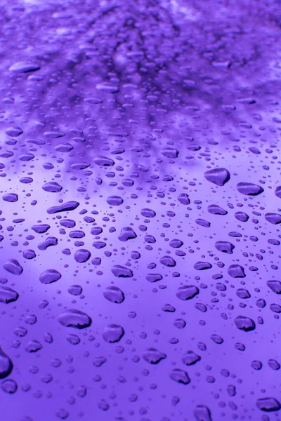 Abstrato Água Violeta Chuva Cai Fundo Transparente Papel Parede Close — Fotografia de Stock