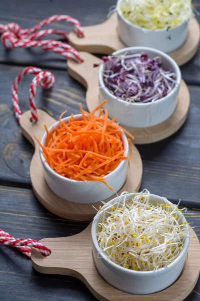 Rauwe Jonge Biologische Kiemgroenten Van Prei Alfalfa Rood Wortel Kommen — Stockfoto