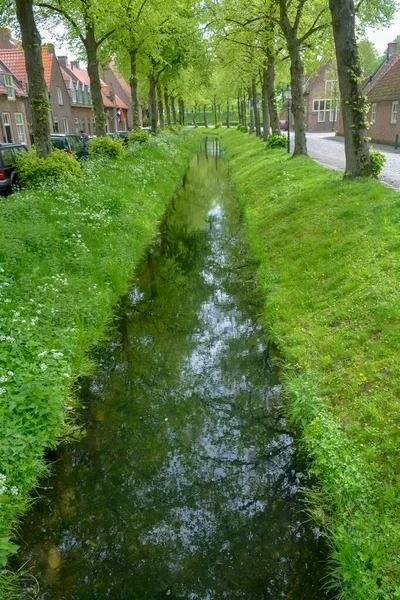 Piccolo Canale Con Acqua Corrente Grandi Alberi Verdi Fianchi Erba — Foto Stock