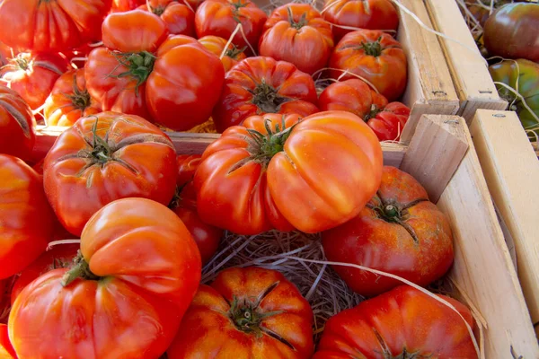 Produtos Hortícolas Sul França Agricultores Tomates Maduros Biológicos Sortimento Mercado — Fotografia de Stock