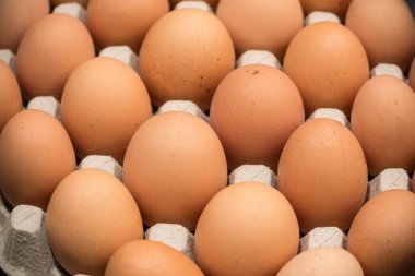 Kartonda kafessiz tavuk yumurtası, yakın çekim.