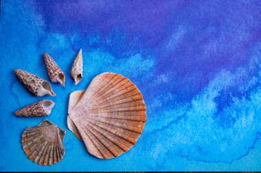 Deniz kabukları ve mavi arka plan kopyalama alanı ile deniz ürünleri konsepti üzerine yaz tatili